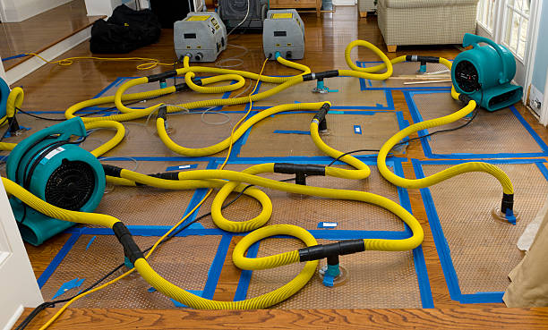 Professional Water Damage Restoration technician working in Sumerduck, VA